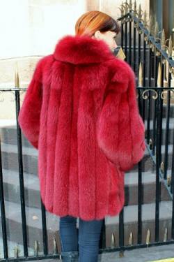 Marc Kaufman Furs presents a red blue fox fur jacket from Marc Kaufman Furs New York City,Fur coats in Baltimore, fur coats in Chicago, fur coats in Detroit, fur coats in Los Angeles, fur coats in Detroit, fur coats in orange county, fur coats in Atlanta, fur coats in Denver, fur coats in Dallas, fur coats in Seattle, fur coats in Portland, fur coats in Santiago, fur coats in Portugal, fur coats in Madrid