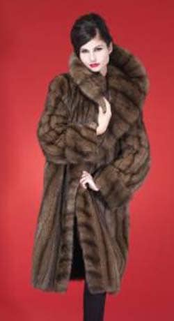 Russian Golden Sable and Natural Sable Fur Coats & Strollers