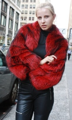 Marc Kaufman Furs Presents a dyed red silver fox fur jacket with bolero sleeves from Marc Kaufman Furs New York,Argentina,United Kingdom,Austria,Denmark,Norway,Australia,Finland,Saudi Arabia,Oman,Kuwait,Jordan,Egypt