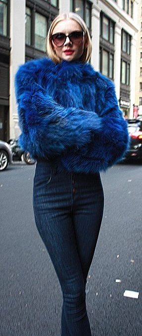 Blue Fox Fur Jacket