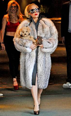 Lady Gaga Reigning Fur Queen