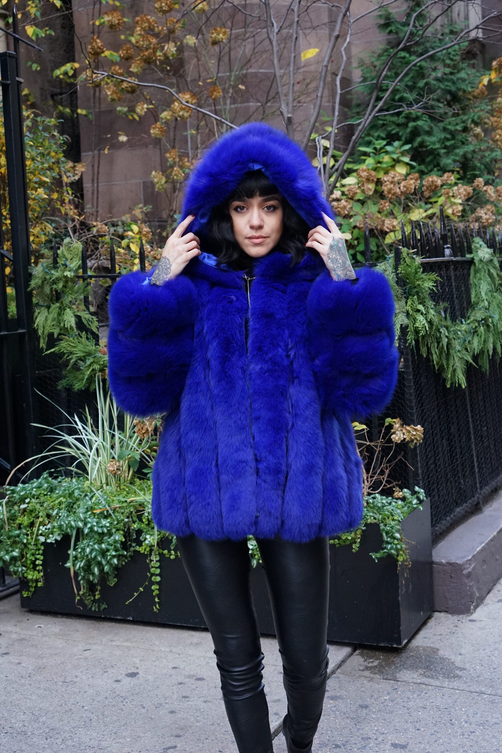 Royal Blue Fox Jacket Hood 3475