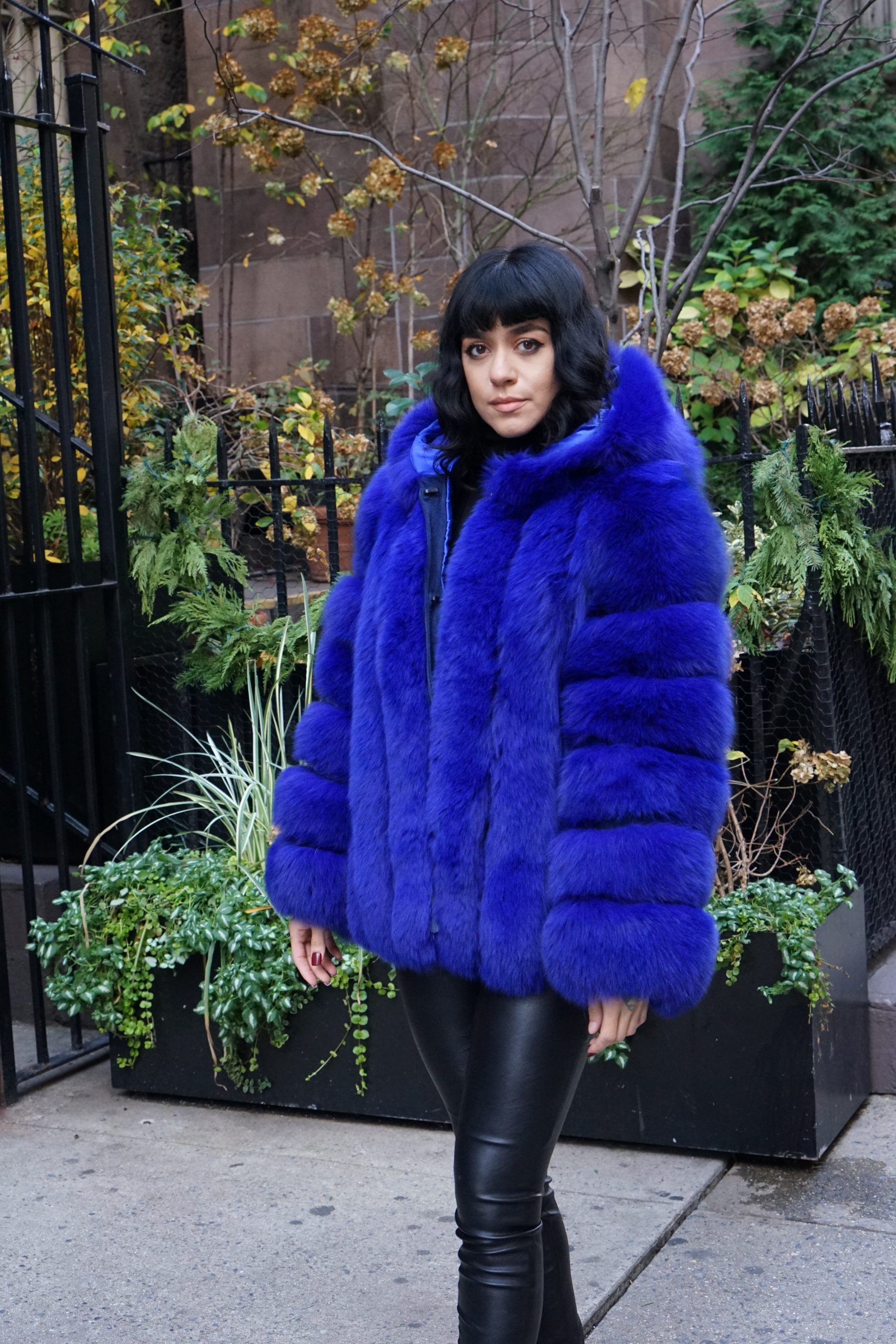 ROYAL BLUE FOX JACKET