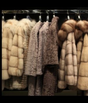 Why Fur is Back in Fashion?