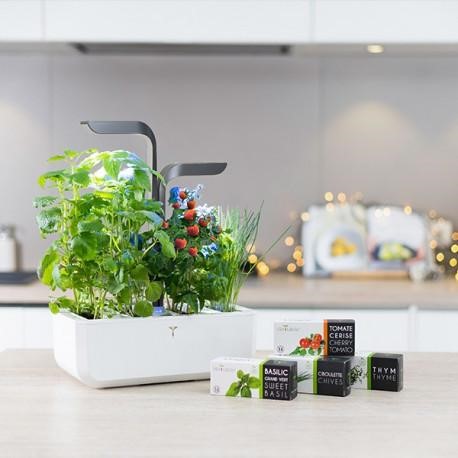 A modern planter that hold three plants