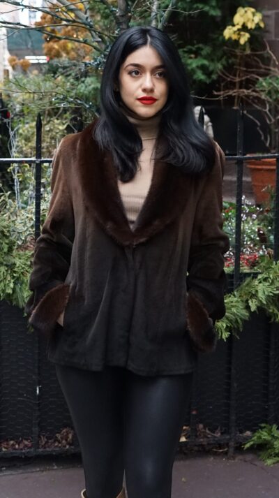 Degrade Brown Sheared Mink Jacket